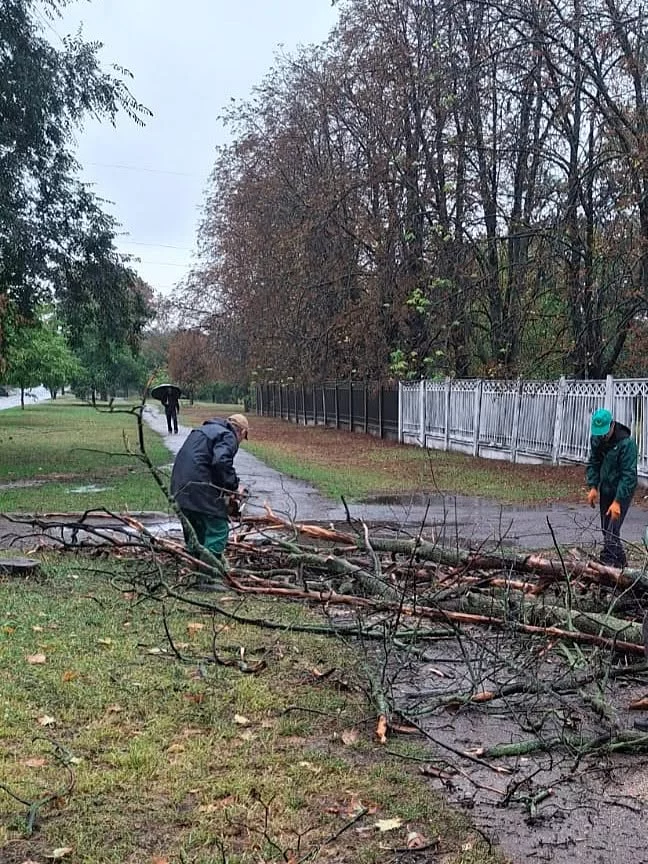деревья падают в Харькове из-за непогоды