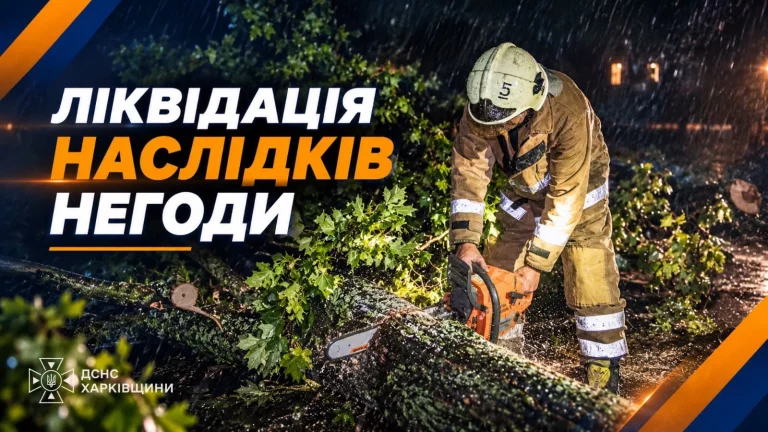 Последствия урагана в Харькове и области: семь раз жители вызывали спасателей