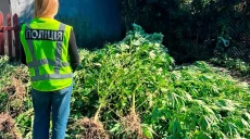 У наркоділка в Харкові вилучили наркотики та повідомили про підозру
