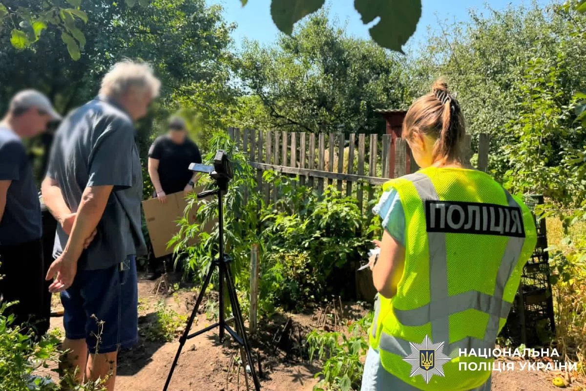 Для власних потреб: у Харкові викрили невеличку плантацію коноплі