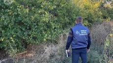 Около 5 га леса на Харьковщине поменяют хозяина