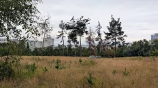 Опасность даже ногами: людей просят не посещать леса под Харьковом