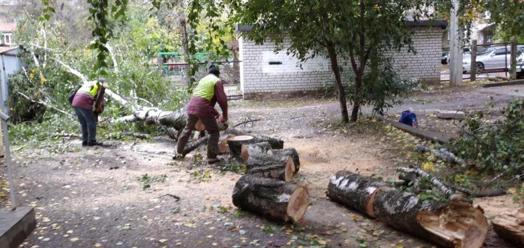последствия урагана устраняют в Харькове