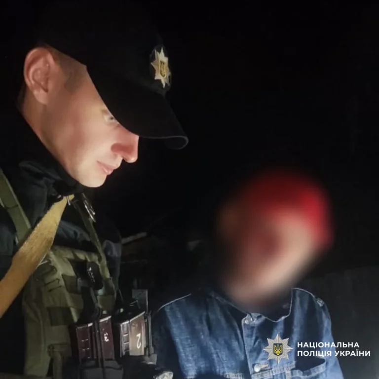 Семейные разборки на Чугуевщине: мужчина ударил собственную мать