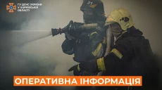 Ребенка и троих взрослых спасла ГСЧС в Лозовском районе – горела многоэтажка
