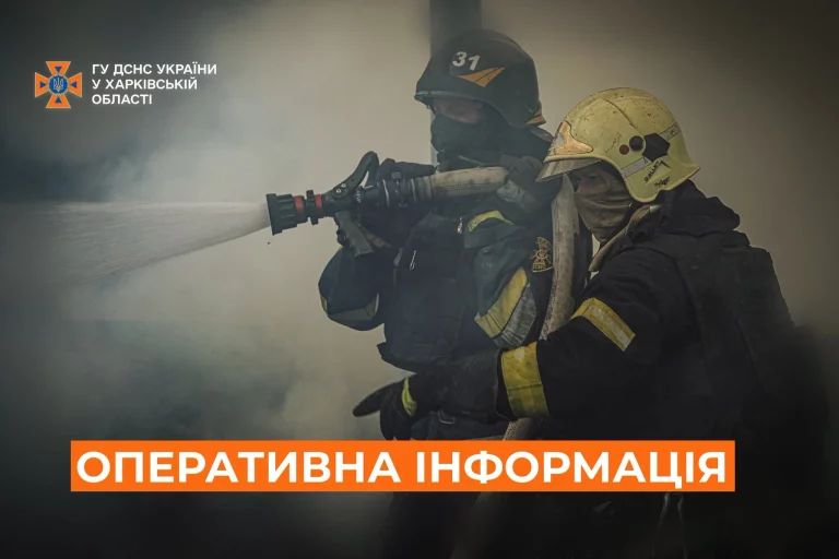 Дитину і трьох дорослих врятувала ДСНС у Лозівському районі – горів дім