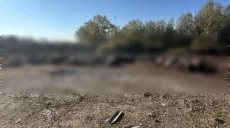 Более 30 коров убили вражеские КАБы на Харьковщине утром 9 октября