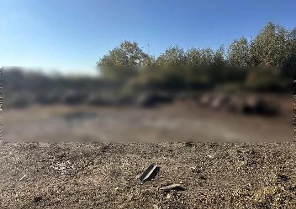 Понад 30 корів вбили ворожі КАБи на Харківщині вранці 9 жовтня