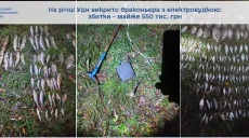Наловил на 550 тыс. грн: рыбоохранный патруль поймал браконьера на реке Уды