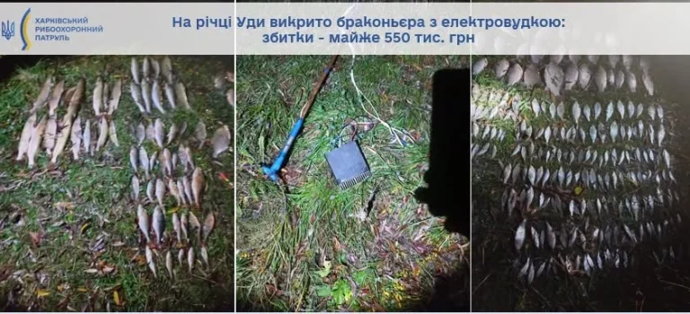 Наловил на 550 тыс. грн: рыбоохранный патруль поймал браконьера на реке Уды