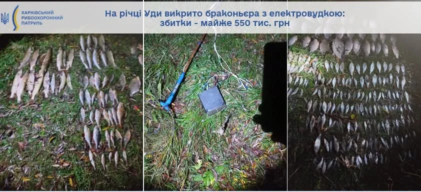 Наловил на 550 тыс. грн: рыбоохранный патруль поймал браконьера на реке Уды