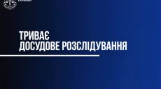 Тіло кота з пораненням знайшли в Харкові: прокуратура розслідує справу
