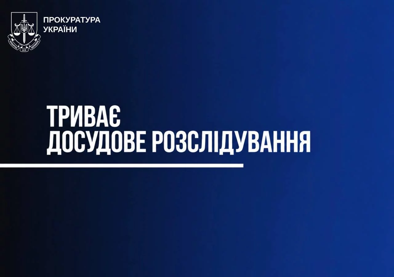 Тело кота с ранением нашли в Харькове: прокуратура расследует дело