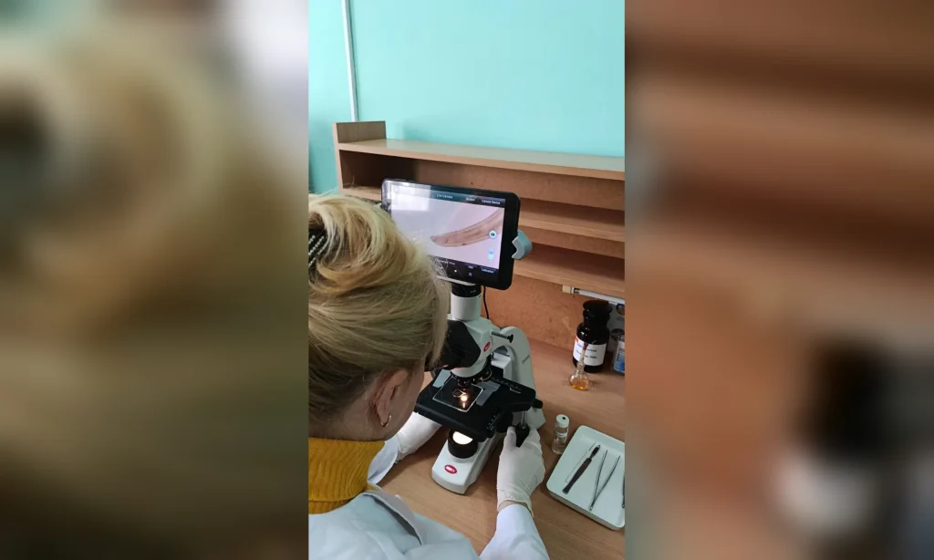 паразит 29 октября