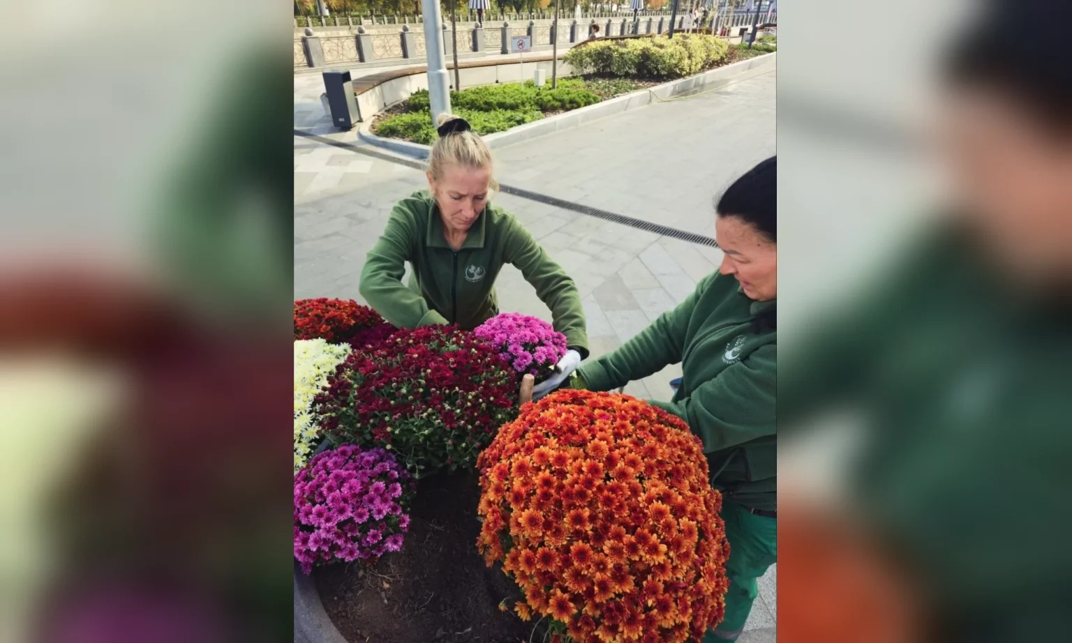 На Лопанской набережной и в Сквере митрополитов появились цветочные композиции