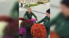 На Лопанской набережной и в Сквере митрополитов появились цветочные композиции