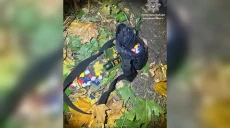 Около 80 свертков с наркотиками обнаружили у прохожего патрульные Харькова
