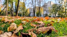 Вітер та +17: прогноз погоди на 24 жовтня у Харкові та області