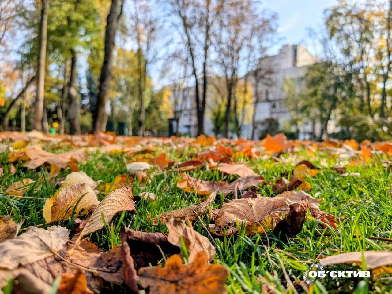 Вітер та +17: прогноз погоди на 24 жовтня у Харкові та області