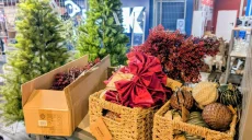 Магазины Харькова уже заполонил новогодний декор: что сколько стоит (фото)