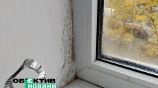 Плесень в квартире: как избавиться и чем опасна